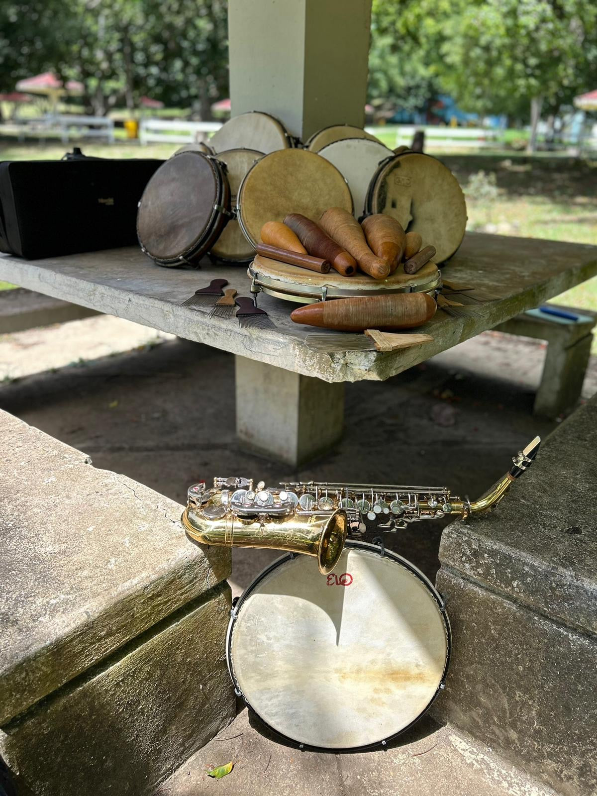 Drums and a saxophone on a concrete surface with a park-like background.

Panderos y Panderetas, Güiros< Raspas